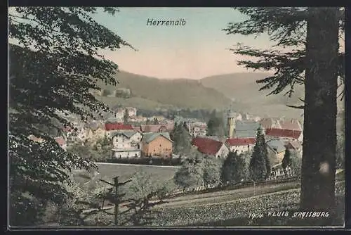 Künstler-AK Herrenalb, Blick von der Bergwiese auf den Ort