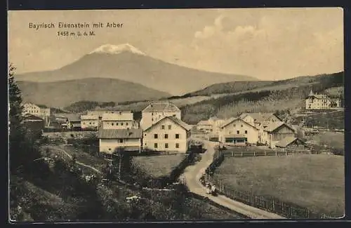 AK Bayerisch Eisenstein, Strassenansicht mit Arber