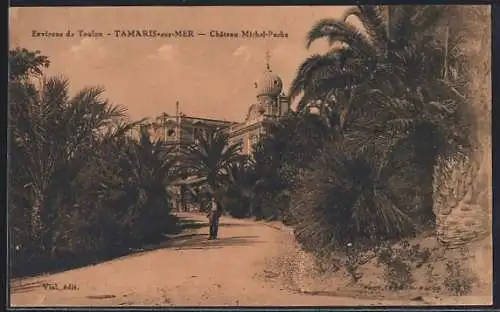 AK Tamaris-sur-Mer, Château Michel-Pacha et palmiers dans le jardin
