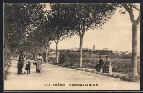 AK Fréjus, Boulevard de la Mer