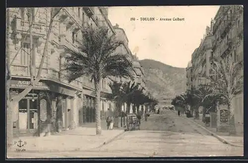 AK Toulon, Avenue Colbert avec palmiers et bâtiments historiques