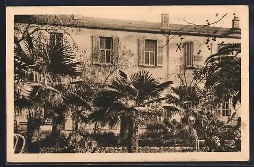 AK Toulon, Jardin de la Clinique Malarctic avec Palmiers