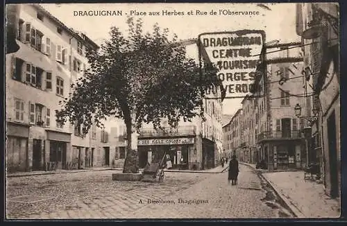 AK Draguignan, Place aux Herbes et Rue de l`Observance avec arbre et passants