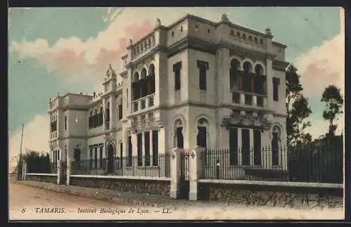 AK Tamaris, Institut Biologique de Lyon