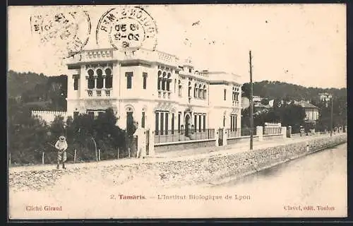 AK Tamaris, L`Institut Biologique de Lyon