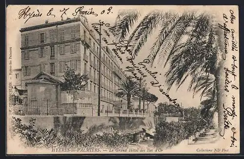 AK Hyères-les-Palmiers, Le Grand Hôtel des Iles d`Or et palmiers majestueux
