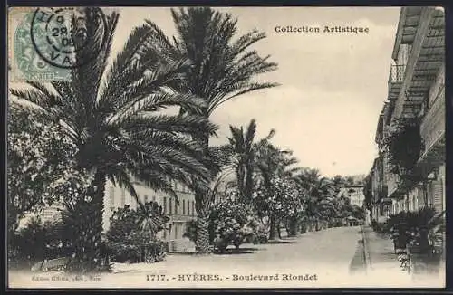 AK Hyères, Boulevard Riondet et palmiers majestueux