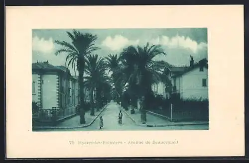 AK Hyères-les-Palmiers, Avenue de Beauregard