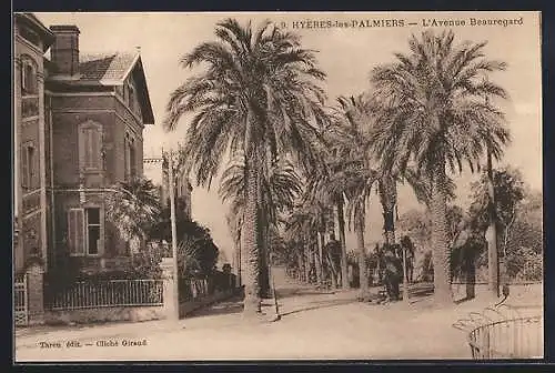 AK Hyères-les-Palmiers, L`Avenue Beauregard avec palmiers majestueux