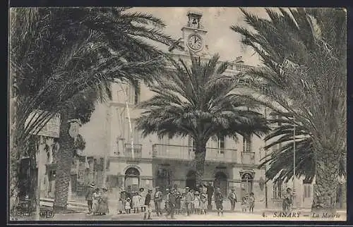 AK Sanary, La Mairie et les palmiers majestueux