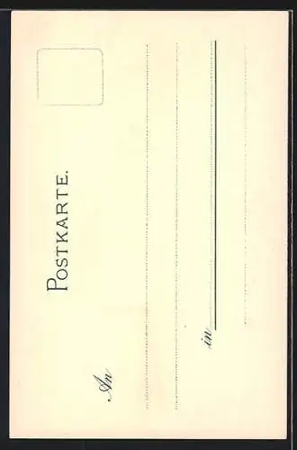 Künstler-AK Hans Bohrdt: Rio Janeiro, S. M. Schulschiff Stosch