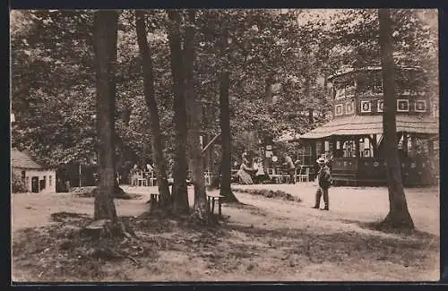 AK Oschatz, Partie auf dem Collmberg mit Gaststätte