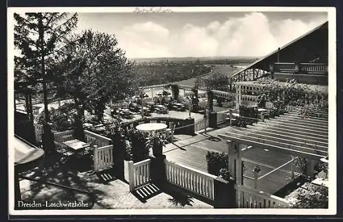 AK Dresden-Loschwitz, Aussicht vom Berggasthaus Löschwitzhöhe