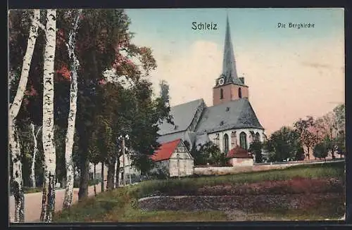AK Schleiz, Die Bergkirche mit Birkenallee