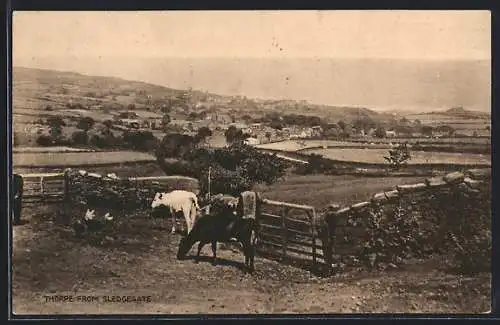 AK Thorpe, View from Sledgegate