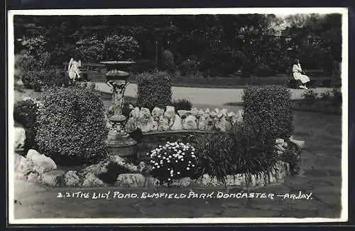 AK Doncaster, The Lily Pond in Elmfield Park