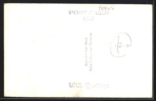 AK Doncaster, The Lily Pond in Elmfield Park