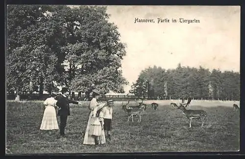 AK Hannover, Partie im Tiergarten, Familie mit Rehen im Gehege