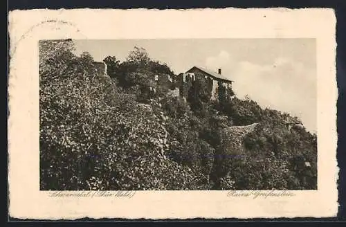 AK Schwarzatal /Thür. Wald, Ruine Greifenstein mit Befestigungsanlage
