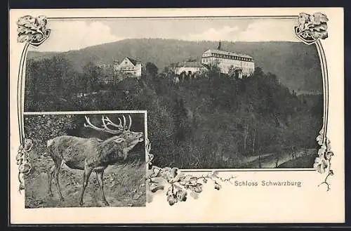 AK Schwarzburg, Ansicht vom Schloss und Hirsch in Nahaufnahme