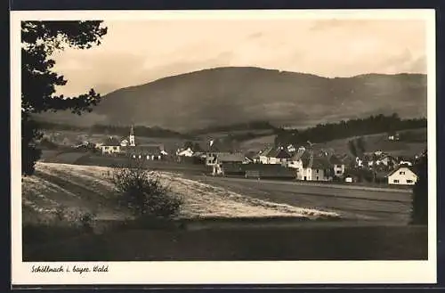 AK Schöllnach i. bayr. Wald, Teilansicht mit Feldern und Hügelpanorama