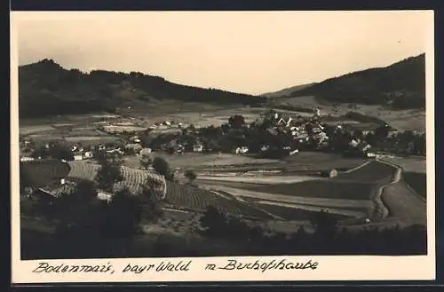 AK Bodenmais /bayr. Wald, Talansicht von der Bischofshaube