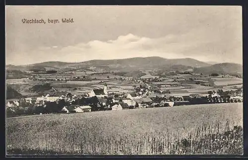 AK Viechtach /bayr. Wald, Teilansicht vom Feld aus