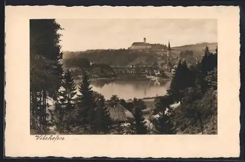 AK Vilshofen, Blick zwischen Tannen auf Flusspartie und Viadukt