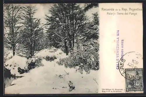 AK Tierra del Fuego, Paisaje