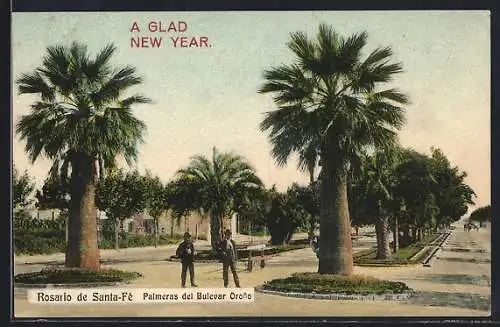 AK Rosario de Santa-Fé, Palmeras de Bulevar Orono
