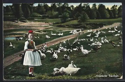 AK Hessische Tracht, Mädchen hütet Gänse
