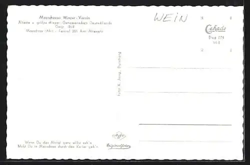 AK Mayschoss /Ahr, Winzer-Verein, Gebäude, Weinkeller