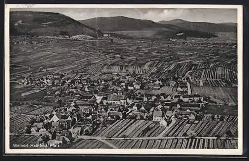 AK Hainfeld /Pfalz, Gesamtansicht mit Weingärten u. Bergpanorama