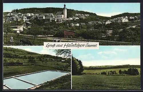 AK Haintchen, Freibad und Stadtmotiv