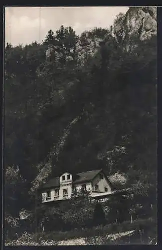 AK Muggendorf /Fränk. Schweiz, Café-Restaurant Rosenau