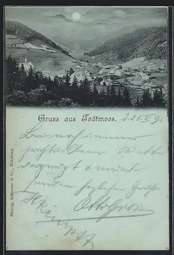 Mondschein-AK Todtmoos, Gesamtansicht mit Bergpanorama aus der Vogelschau