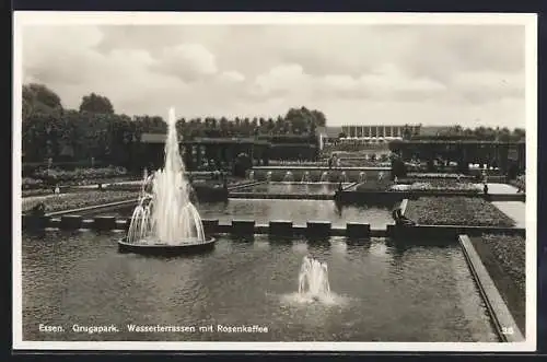 AK Essen, Rosencafe mit Wasserterrassen im Grugapark