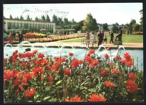 AK Erfurt, Internationale Gartenbauaustellung der DDR, Blick auf die Blumenwiese und Ausstellungshallen