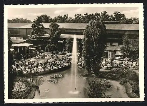 AK Hannover, Deutsche Industrie-Messe 1956, Gartencafe mit Blick auf Halle 3 auf dem Messegelände