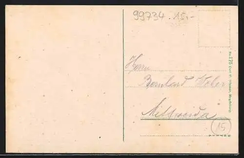 AK Nordhausen / Harz, Rathaus, Kaiser-Friedrich-Denkmal, Primariusgraben