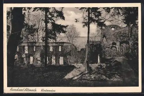 AK Arendsee /Altmark, Klosterruine