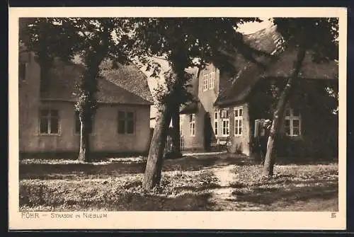 AK Nieblum /Föhr, Strasse im Ort