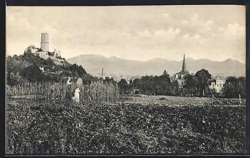 AK Godesberg, Burg mit Siebengebirge