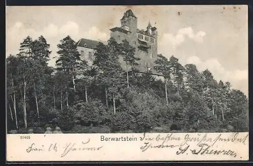 AK Berwartstein, Blick auf die Burg