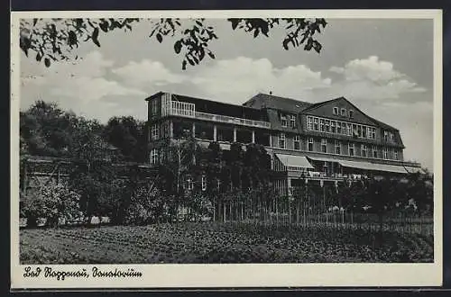 AK Bad Rappenau, Sanatorium mit Garten