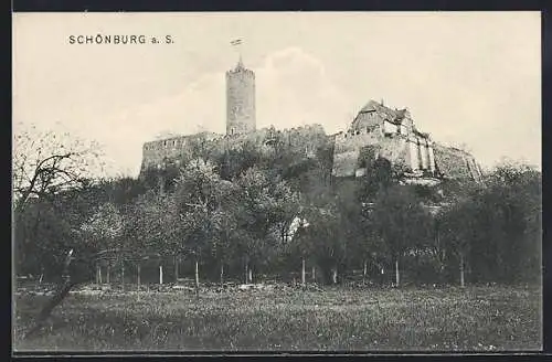 AK Schönburg a. S., Blick auf die Burg