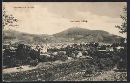 AK Auerbach a. d. Bergstr., Teilansicht mit Auerbacher Schloss und Melibokus