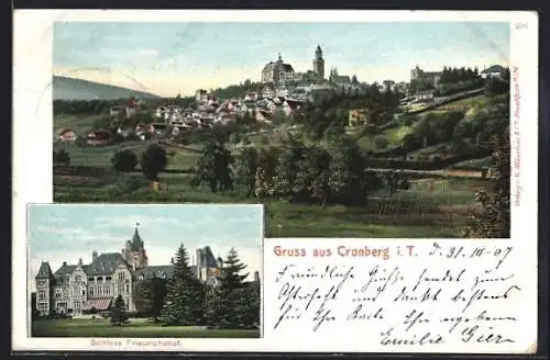 AK Cronberg i. T., Teilansicht, Schloss Friedrichshof