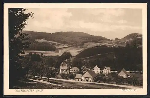 AK Berlebeck /Teutob. Wald, Ortsansicht mit umgebenden Wäldern