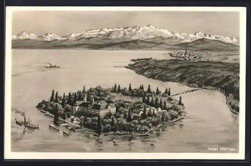 Künstler-AK Insel Mainau, Totalansicht